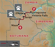 Classic Botswana Safari