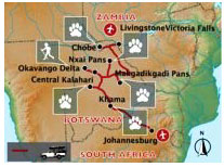 Botswana Kalahari and Delta Safari