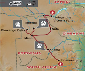 Botswana wildlife safari