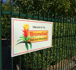 Bromeliad Bed and Breakfast