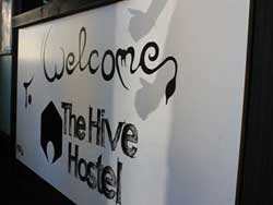 The Hive Hostel