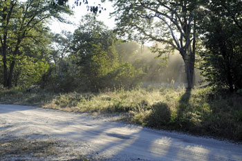 Excellent road in Chobe park