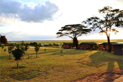 Mwandi View