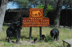 Savute Elephant Camp Chobe Botswana