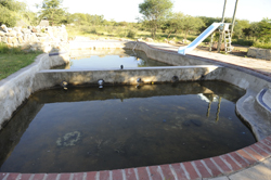 Dumela Lodge Francistown Botswana