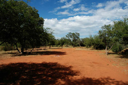 Mokodi Backpackers Mokolodi Nature Reserve