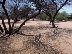 Tautona Lodge Botswana