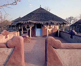 Planet Baobab