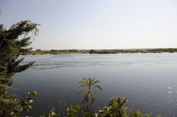 Chobe Safari Lodge Kasane Botswana