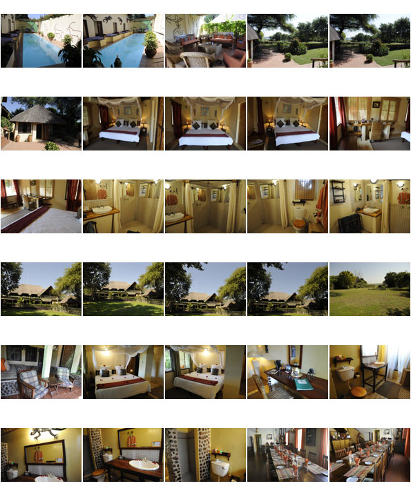 garden lodge chobe