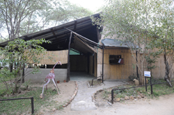 Ngina Camp Kasane Botswana