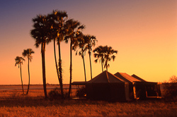 Jack's Camp Makgadikgadi Botswana