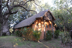 Kwa Nokeng Lodge Martins Drift Botswana