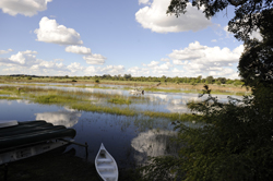 Island Safari Lodge Maun Botswana
