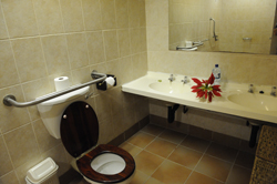 Island Safari Lodge Maun Botswana