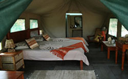 Mogotlho Safari Lodge Botswana