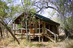 Motsentsela Tree Lodge Maun Botswana