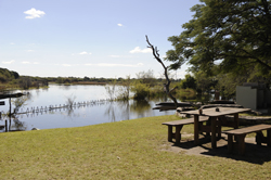 Okavango River Lodge Maun Botswana