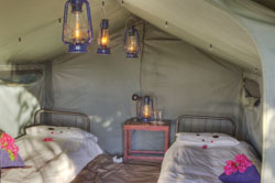 Okavango River Lodge Maun Botswana