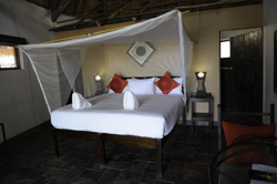 Thamalakane Safari Lodge Maun Botswana