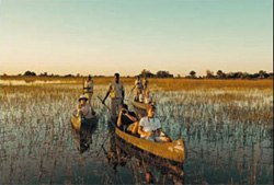 Camp Okavango Okavango Delta Botswana
