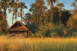 Eagle Island Camp Okavango Delta Botswana