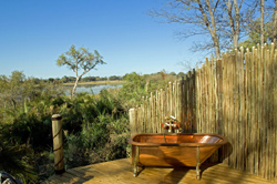 Jacana Camp Okavango Delta Botswana