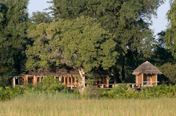 Jao Camp Okavango Delta Botswana