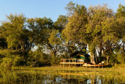 Macatoo Camp Okavango Delta