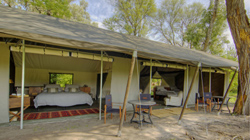 Machaba Camp Okavango Delta Botswana