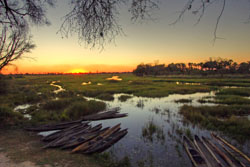 Oddballs Camp Okavango Delta Botswana