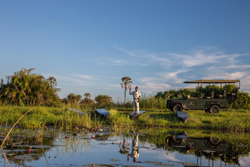 Pelo Camp Okavango Delta Botswana