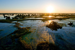 Pelo Camp Okavango Delta Botswana