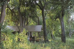 Shinde Camp Okavango Delta Botswana