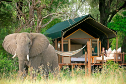 Stanley's Camp Okavango Delta Botswana