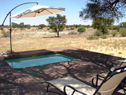 Phirima Game Ranch Tsabong Botswana