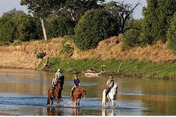 Limpopo Valley Horse Safaris Tuli Block Botswana