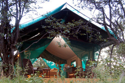 Mashatu Tented Camp Tuli Block Botswana