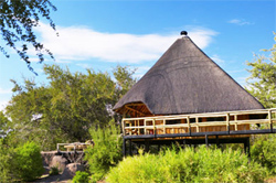 Nitani Lodge Tuli Block Botswana