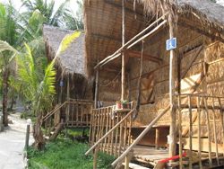 Coco's Bungalow Resort