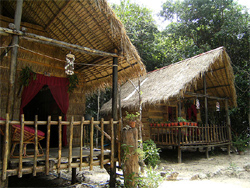 Treehouse Bungalow Resort
