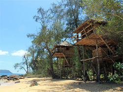 Treehouse Bungalow Resort