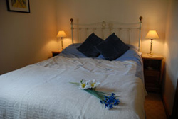Craven Arms  places to stay