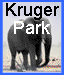 visit Kruger
