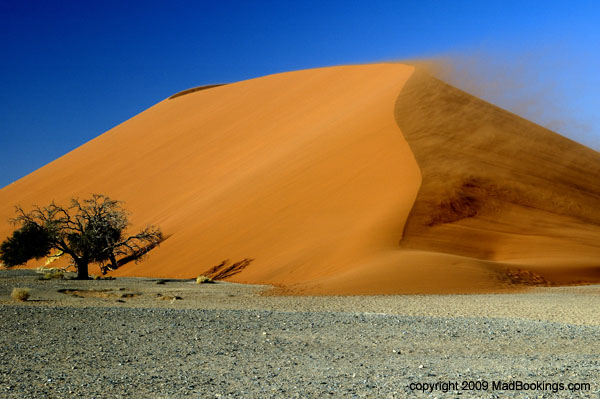 Climb the sand dunes of the Namib Desert