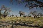 namibia_holiday_10