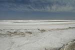 namibia_holiday_12