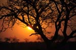 namibia_safari_03