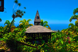 Aloha Guesthouse