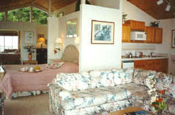 Belle Vue Cottage And  Suites